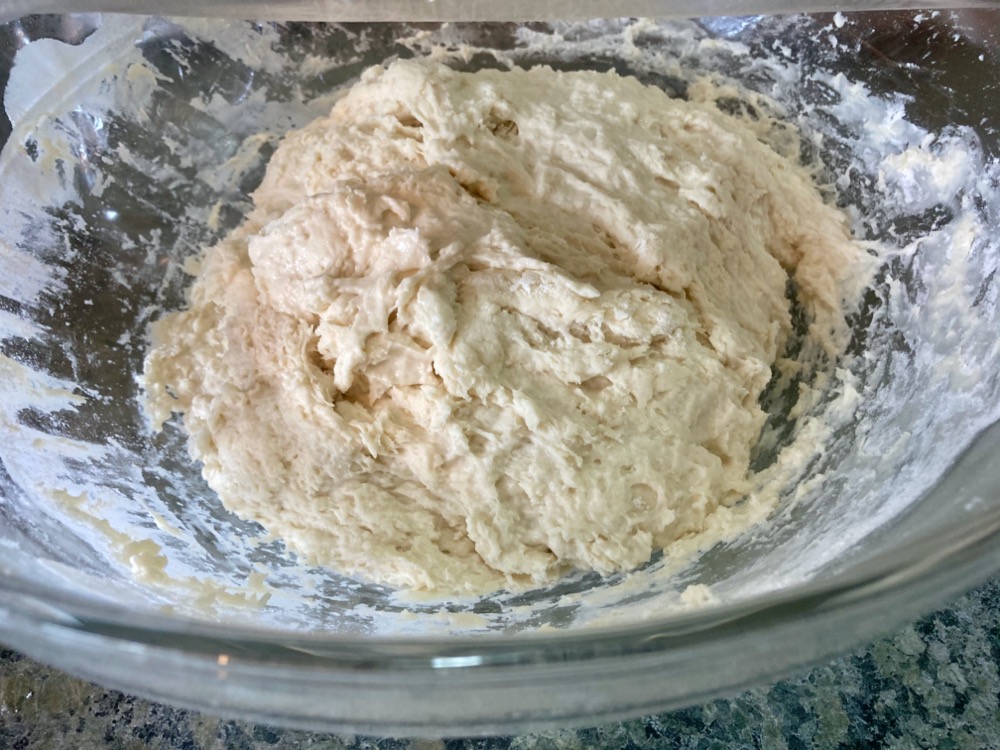 a bowl with a ball of rough, shaggy dough