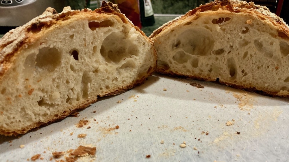 the loaf of bread, cut in half