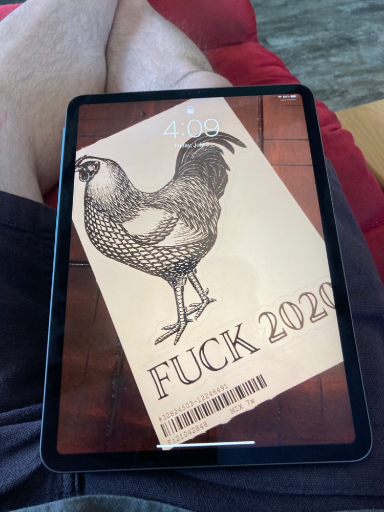 pen-and-ink illustration of rooster captioned 'fuck 2020'